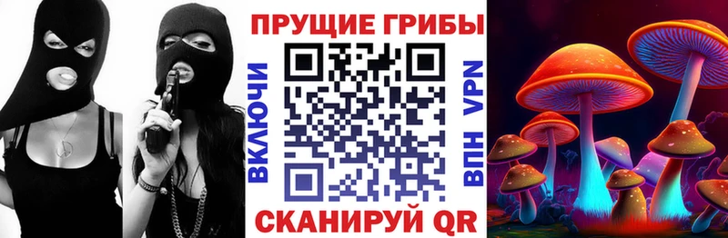 Псилоцибиновые грибы Psilocybe Сельцо