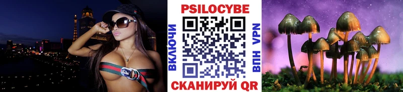 Галлюциногенные грибы Psilocybe  Купить закладки  Сельцо 